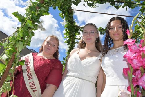 Maacher Wäifest 2024